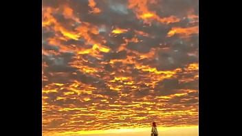 Vídeo de verificação XVIDEOS