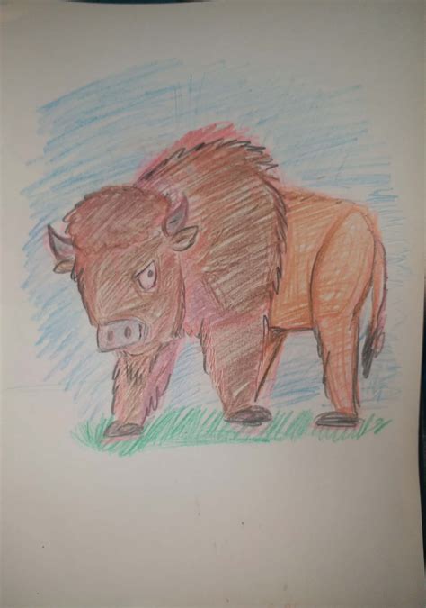 Bison By Alexisj153984 On Deviantart