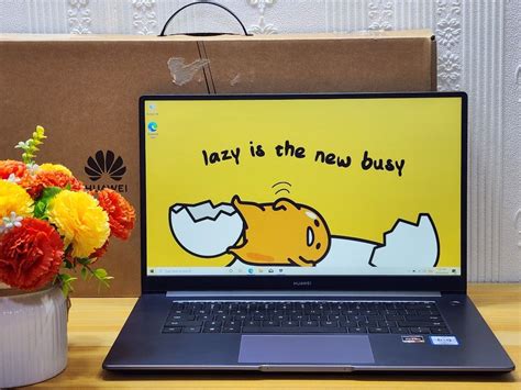 Huawei Matebook BOHK-WAX9X D15 AMD ryzen 5 3500U, 8Gb Ram 512Gb SSD AMD ...