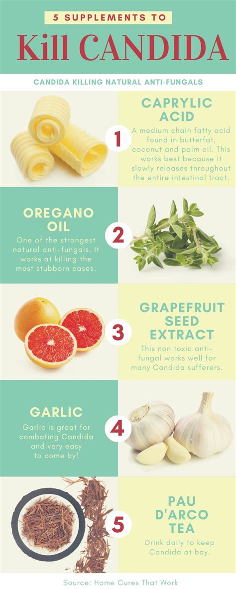 What Kills Yeast In Food at Jamie Ellison blog