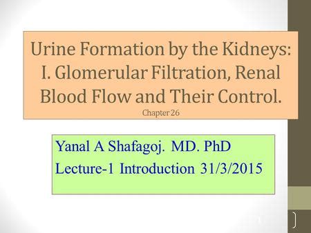 Urine Analysis Other Body Fluids Ubf Or Clinical Microscopy Mlt Ppt