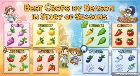 Story of Seasons Best Crops Each Season: Expert 2026 Guide