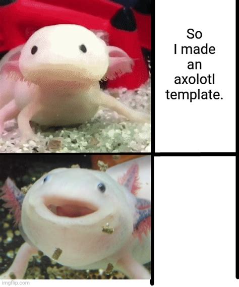 Axolotl_memes Memes & GIFs - Imgflip