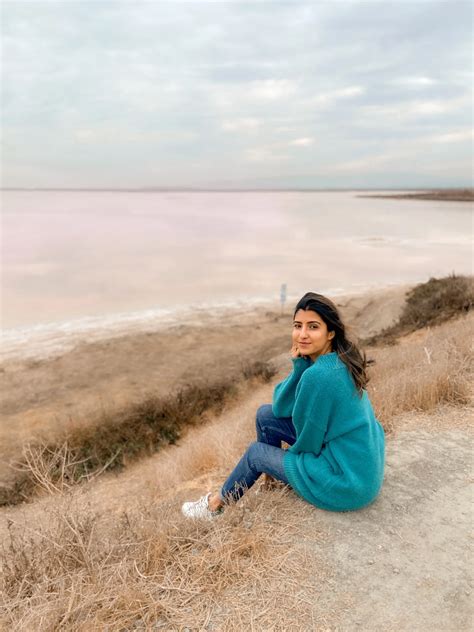 The Salt Ponds of Alviso County Marina Park — Miss Minus Sized