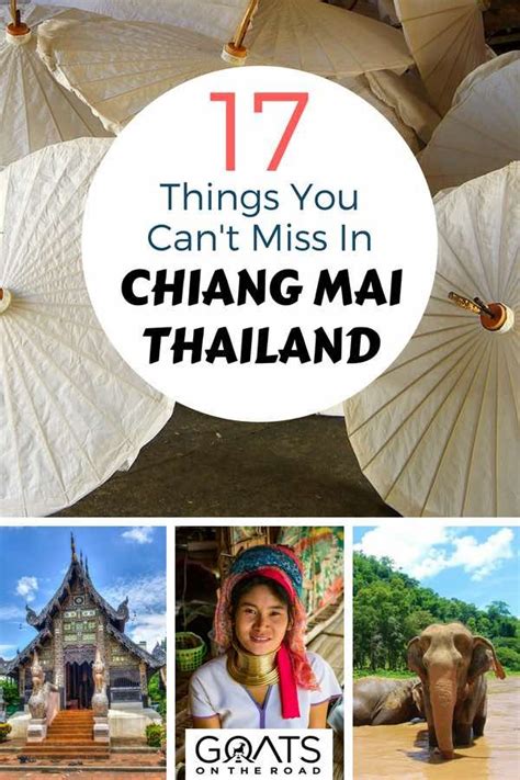 Best Things To Do In Chiang Mai Goats On The Road Chiang Mai