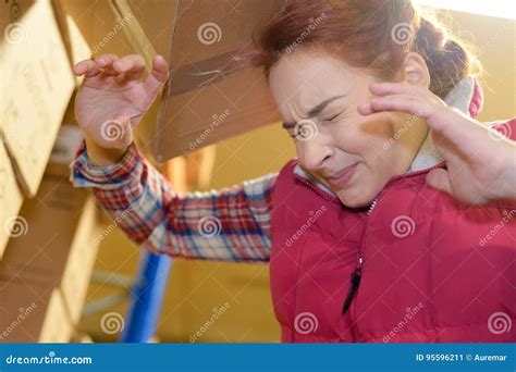 female worker hitting head  accident  shelf stock image image