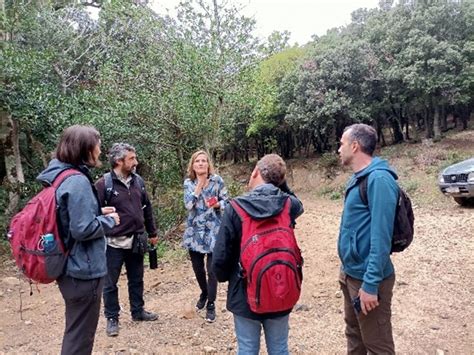 Requesens Observatorio Pirenaico Del Cambio Clim Tico