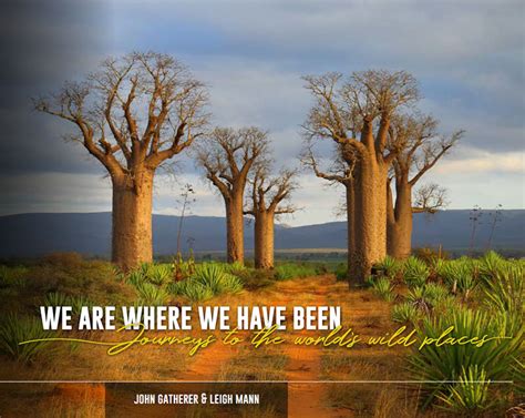 preview john gatherer photography