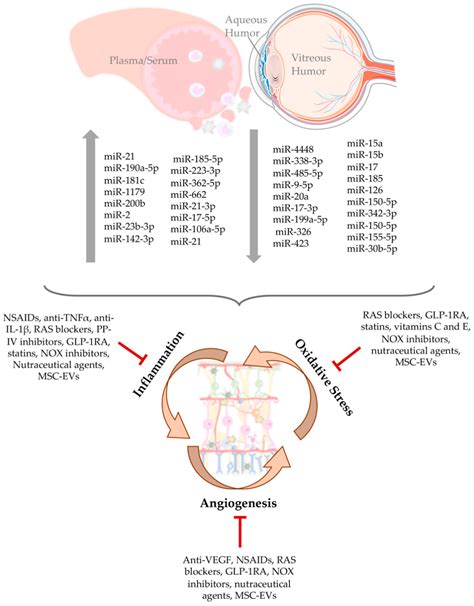 Antioxidants Free Full Text Extracellular Vesicles And Microrna