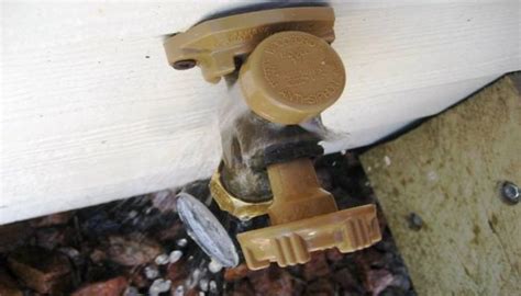 How To Repair A Leaking Anti Siphon Valve [solved] Faucet Fam