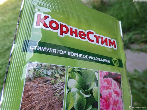 «КорнеСтим» — стимулятор корнеобразования - «Теперь не нужно покупать ...
