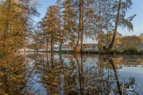 Herbst Spreewald Fotografie Wendland