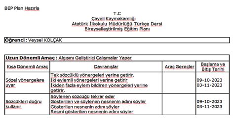 2 Sınıf Türkçe Bireyselleştirilmiş Eğitim Planı Bep 2023 2024 Meb Ders