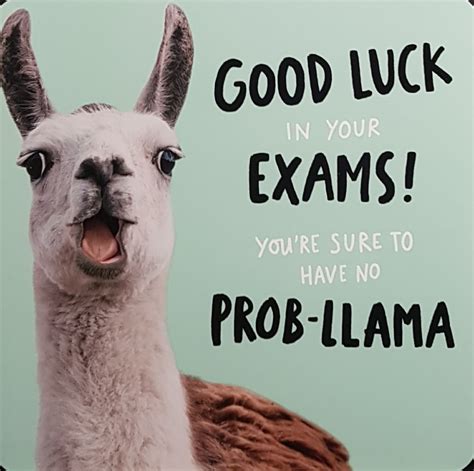 Good Luck Exam Meme