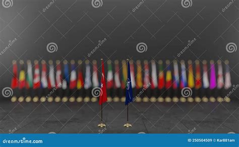 Nato Member Countries Flags Flags Of Nato Members Nato Summit With
