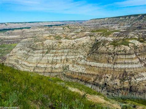 Why You'll Love Hiking in the Canadian Badlands. Hint: Dinosaurs!