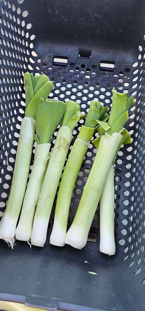 Bismarck Farmers Market | Bismarck ND