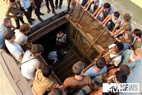 The Maze Runner Archives Big Gay Picture Show