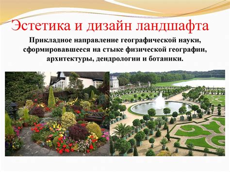 Антропогенные ландшафты - презентация онлайн