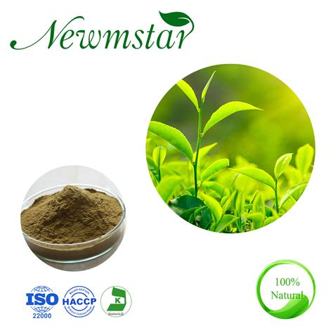 2022 Wholesale 30 L Theanine Powder Camellia Sinensis Green Tea