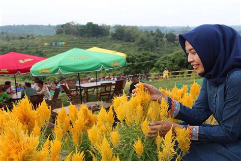 Rekomendasi Tempat Wisata Di Blora Yang Cocok Untuk Menikmati Akhir