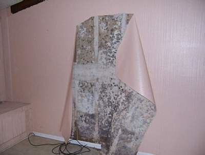 damp patches leakbusters