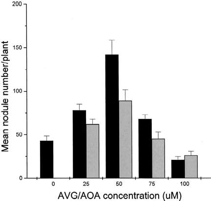 The nodulation response of bean plants to inoculation with rhizobia ...