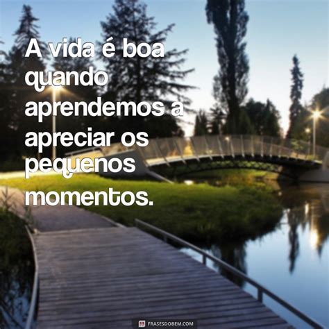 Frases Sobre Vida Boa