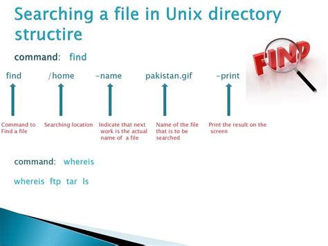 Chapter 10 Advanced File Processing Ppt Download