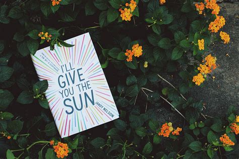 I’ll Give You the Sun by Jandy Nelson - Stay Bookish