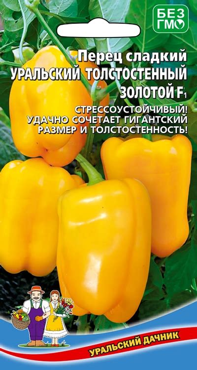 Перец Уральский толстостенный Золотой