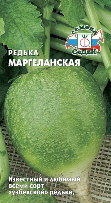 Редька Маргеланская оптом и в розницу - купить профессиональные семена ...
