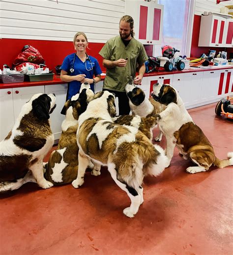 bernards funeral home 6