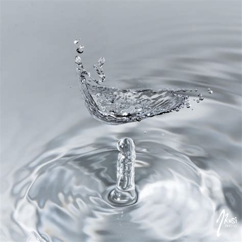 water forms water news