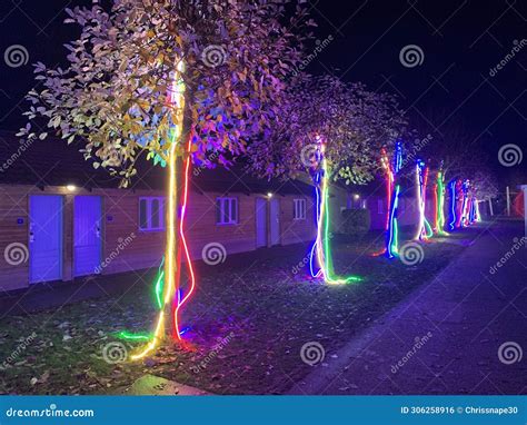 Row Of Small Trees With Various Coloured Strip Lights Attached To Tree