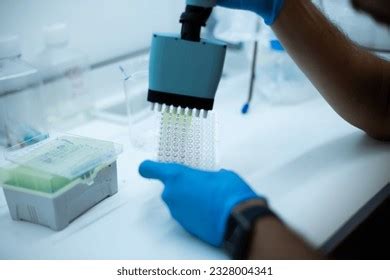 255 Vitro Assay Images, Stock Photos, 3D objects, & Vectors | Shutterstock