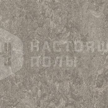 Мармолеум клеевой Forbo 3146 Serene Grey