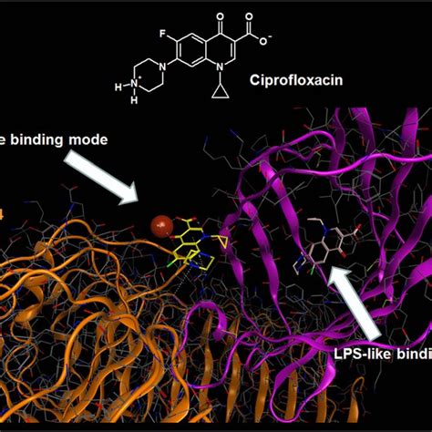 Pdf Ciprofloxacin And Levofloxacin Attenuate Microglia Inflammatory