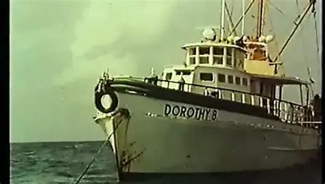 Les Plaisirs De L Infidele Free Porn Xhamster