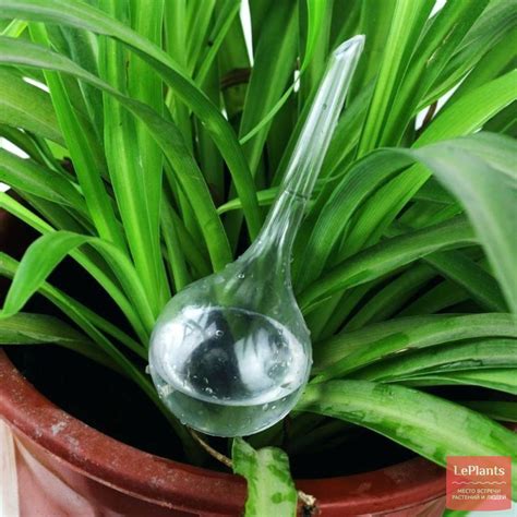 Автополив комнатных растений: ТОП самых покупаемых систем!