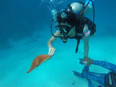 Sitios Ideales Para Practicar Buceo En Colombia