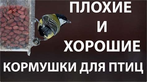 Хорошие и плохие кормушки для птиц. Конкурсы. Новинка Арт Кормушки ...