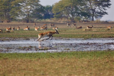 10 Of The Best Wetlands In The World