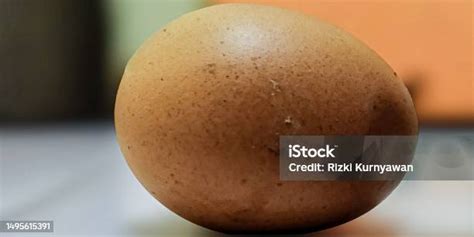 potret foto telur ayam lokal  indonesia foto stok  gambar