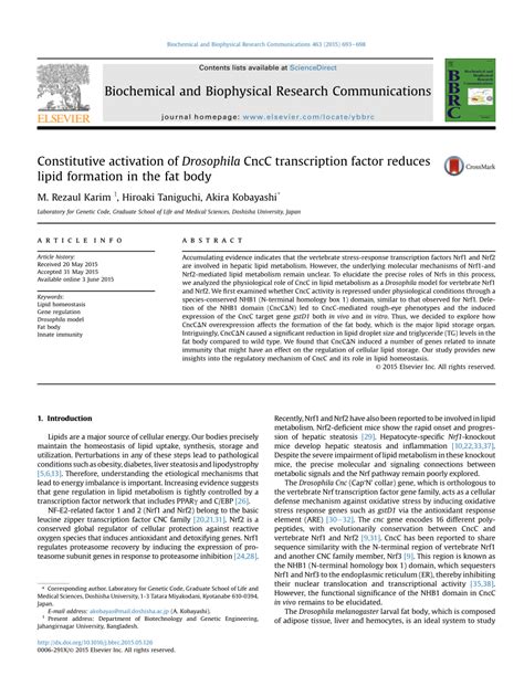 Pdf Constitutive Activation Of Drosophila Cncc Transcription Factor