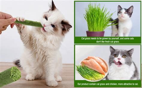 Hkpetie 30g Cat Grass Sticks Delicious Cat Grass Teething