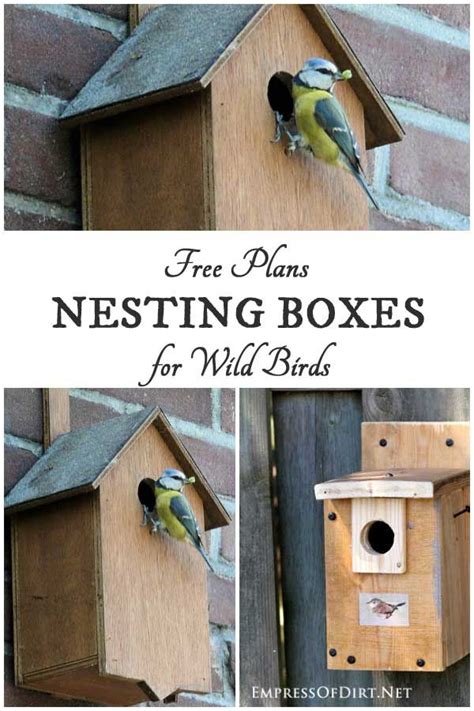 Free Nesting Box Building Plans for Wild Birds — Empress of Dirt | Bird