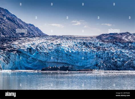 Lamplugh Glacier Tidewater Glacier In Glacier Bay National Park In