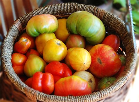 Best Tomatoes to Grow for Farmers Markets - Homestead Hustle