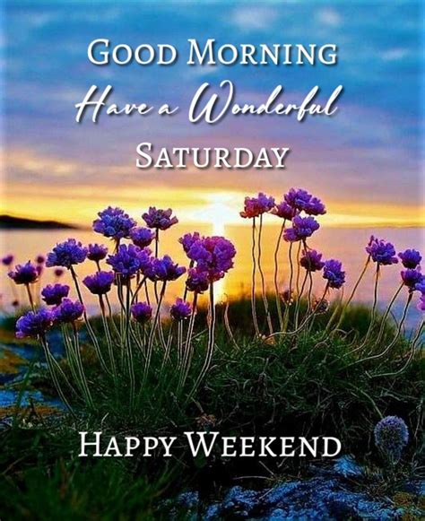 happy saturday quotes  celebrate  beautiful  weekend artofit